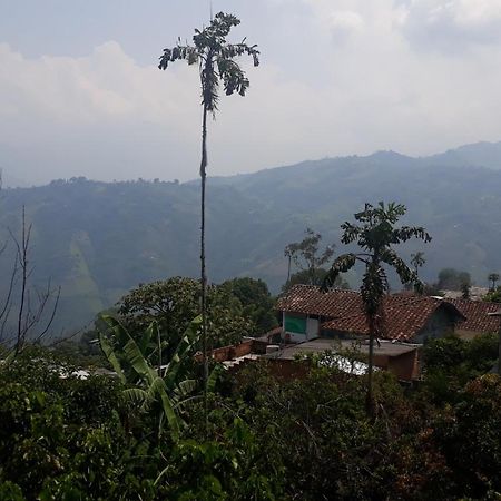 Bonsai Hotel Salamina Caldas 外观 照片